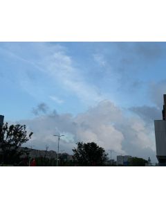 Sandals in brushed calf leather Sporty-white-48 IT